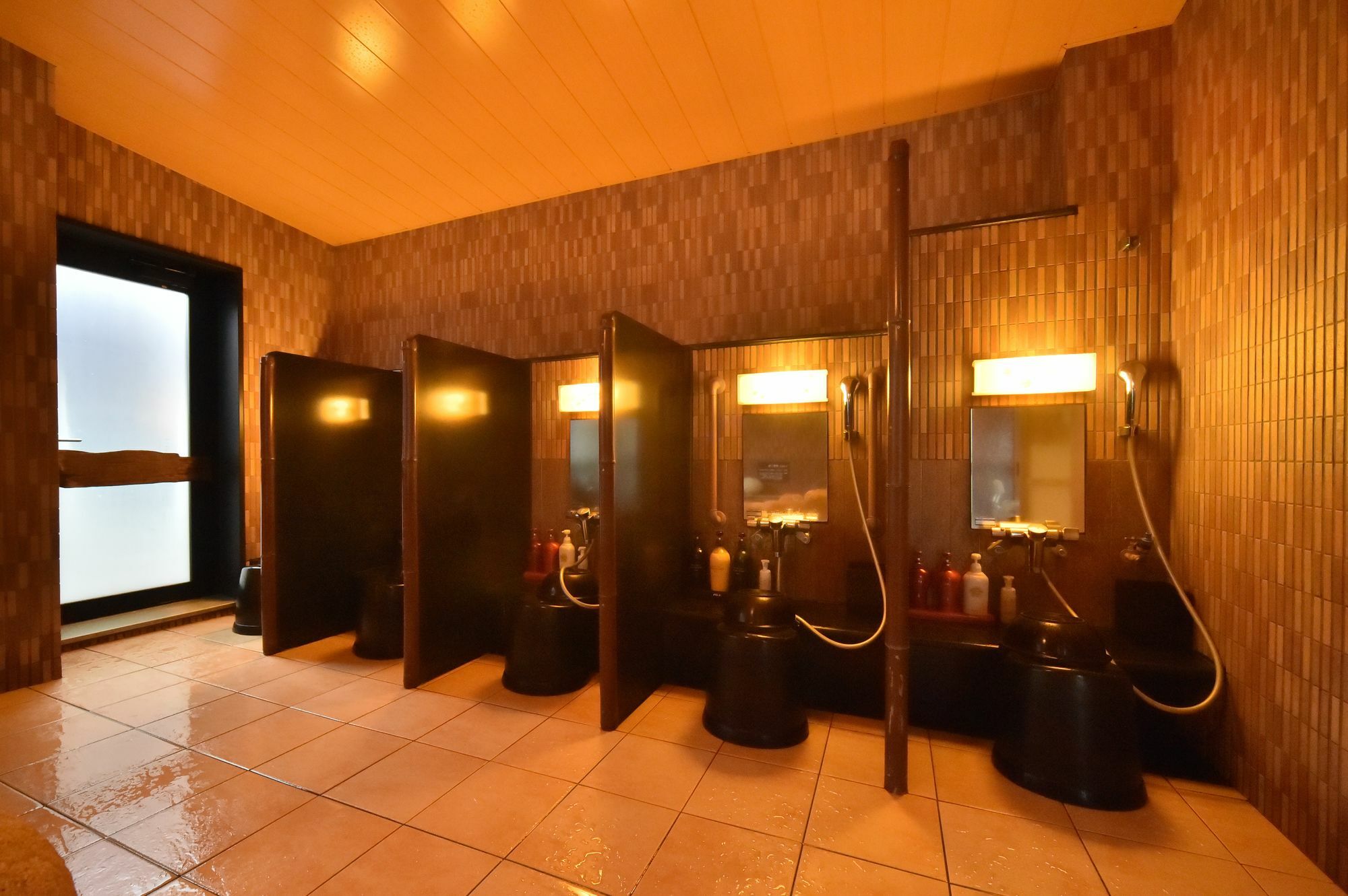 Dormy Hotel 3*